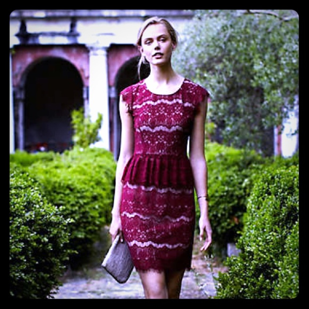 Maeve Elsa Lace Peplum Dress Anthropologie NWT M